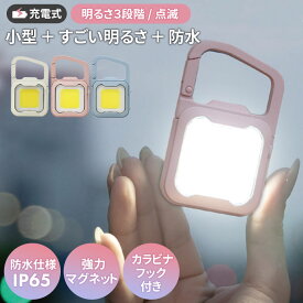 新発売 【メール便】【31％引き】ムサシ 充電式ぴかり MINI LIGHT USB充電 コンパクト 携帯 小型ライト アウトドア キャンプ COBライト ランタン 作業灯 現場 防犯 防災 スポットライト 照明 カラビナフック付き マグネット