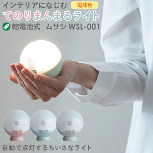 lZT[Cg hƃCg dr LEDZT[Cg TV RITEX Ă̂܂܂ZT[CgiWSL-001j 6ۏؕt dr ledCg p hƃObY hЃObY ԐڏƖ 