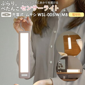 y[ցzlZT[Cg hƃCg LEDZT[Cg TV RITEX ՂB؂񂱃ZT[CgiWSL-005IW/MBj [d USB[d hƃObY hЃObY ԐڏƖ tbgCg Q