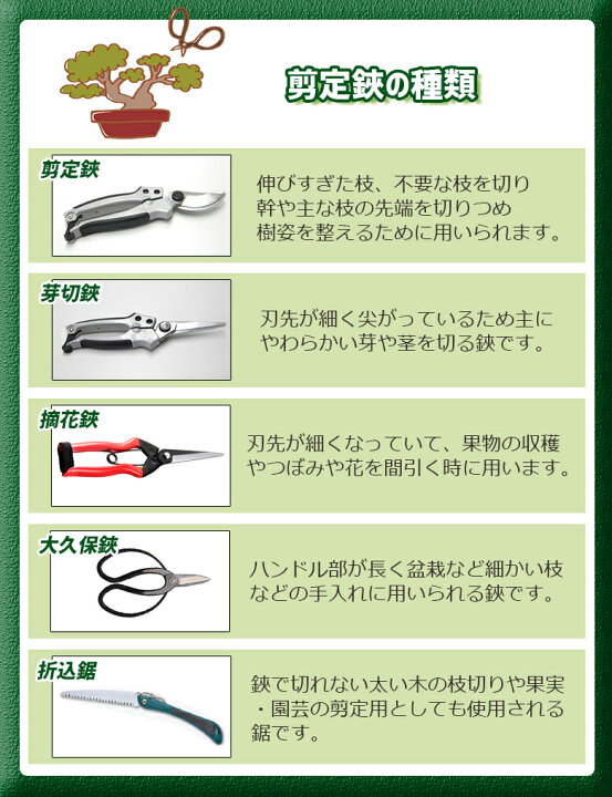 楽天市場 パワーアップ剪定鋏 替刃式 Sgs 30 ガーデニング 剪定鋏 剪定ばさみ 園芸鋏 園芸用品 ガーデニング用品 枝切 ハサミ 角利産業 防犯防災専門店 ワクイショップ 楽天市場 パワーアップ剪定鋏 替刃式 Sgs 30 ガーデニング 剪定鋏 剪定ばさみ 園芸鋏 園芸用品 ガーデニング用品 枝切 ハサミ 角利産業 防犯防災専門店 ワクイショップ