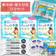 断水時・衛生対策 3日分セット【防災セット 防災グッズ 防災用品 避難セット 避難グッズ シャンプー手袋 …