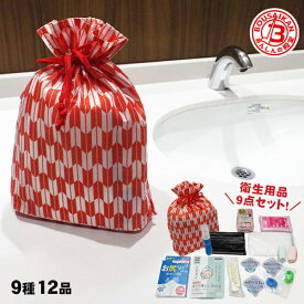 災害用レディース9点セット 防災セット 女性用セット 衛生用品 スキンケア 清潔