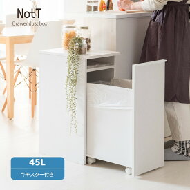 おしゃれ ゴミ箱 45リットル オシャレ 木目 大容量 北欧 レンジ台 幅30 × 奥行き45.5 × 高さ70cm ごみ箱 ゴミ箱収納 キッチン収納 キャスター キッチン 分別 引き出し 45L 木 棚 生ゴミ 見えない ダストボックス 収納