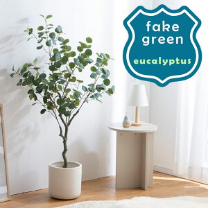 tFCNO[ [J ϗtA tFCN lHϗtA ^ G}  CeA A  j ~j     L rO  lC C t t C 