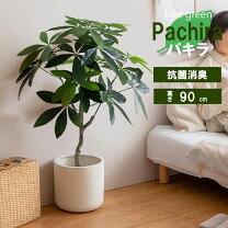 楽天市場】フェイクグリーン パキラの通販 