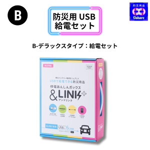 yhЃObY ԗpzLINK{Cg ԍ12V USBdu 6 10mP[ut oCd Ԓ ЊQ d΍ ANZT[\Pbgڑ DC12V USBnu eʋd ߓdی ԓCgt