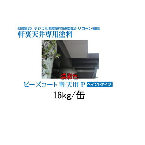 r[YR[gVpP XYJt@C 16kg ZʐF yCg^Cv r[YR[g   V ph c  } WJ`