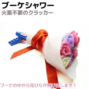 GA[ NbJ[ u[PV[ WCt NbJ[ Ζ򂢂炸̈SȃGA[NbJ[ u[P Ԃт p[eB[ YN  ^  TvCY 傫 } Ǝ 