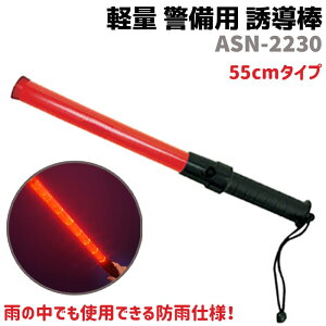U_ LED y xp U 55cm ASN-2230 ۈw h ObY ZLeB x_ SMILE KIDS ۈw pg[ h |J[{l[g Cg hJ ЊQ S _ ʐ hƃObY 