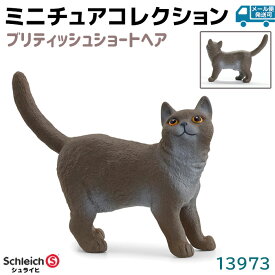 シュライヒ フィギュア ブリティッシュショートヘア 13973 Schleich 5.7×4.3×2cm 猫 ねこ ネコ 動物フィギュア デザイン おもちゃ ギフト ミニチュア コレクション トイ アニマル かわいい 知育玩具 ソフビ【メール便発送可】 39ショップ ポイント消化 スーパーセール