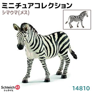 VCq tBMA V}E} X 14810 Schleich 12×8.5×3.2cm tBMA fUC  v[g CeA Mtg ~j`A RNV gC CeAgC Aj} 