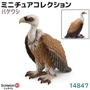 VCq tBMA nQV 14847 Schleich 6×7×4cm h V C[O  o[h tBMA fUC  v[g CeA Mtg ~j`A RNV gC Aj} 
