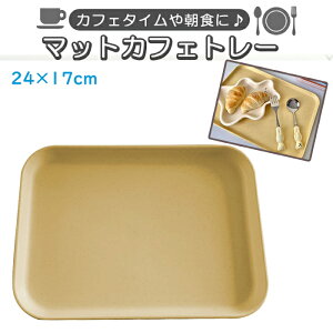 g[ CG[ JtFg[ gC ڂ ANZT[g[ 24×17×1.5cm   킢 ؍CeA ؍G Lb`G JtF Besst 39Vb