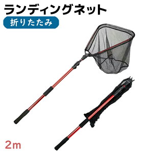 fBOlbg 2m RpNg ܂肽 ʖ o[ k ^  ^  tBbVO ނ Vtg  Op Lk  ^  ނ o[lbg X|[c AEghA 