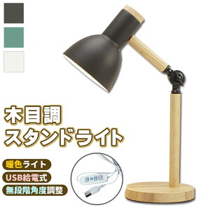 X^hCg LED gF ԐڏƖ fXNCg ubN/O[/zCg e[uCg ドCg VF[hv Ɩ  Q v[g Mtg 蕨 q  킢