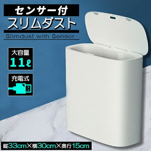 S~ X ZT[ J ӂt  k 33×30×15cm É ȃXy[X USB RpNg  h  S~ B ݔ  Vv _Xg{bNX l炵 rO