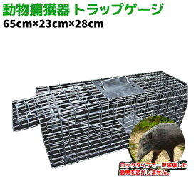 捕獲器 動物捕獲器 トラップゲージ 65×23×28cm 捕獲機 捕獲器 保護 踏板 踏み板 アニマル 動物 保護 踏板 踏み板 ノネコ タヌキ ハクビシン たぬき 【送料無料】 39ショップ ポイント消化 スーパーセール