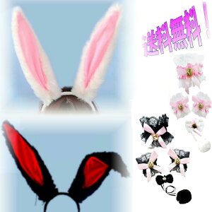  [ J`[V RXv 5_Zbg   r lN^C ӂ RXv tt ꎨ ߂Ⴉ킢 ݂  ̃`