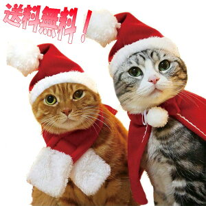  킢 ˂T^ T^ ybgRX`[ ybgXJ[t ˂T^Xq ˂hX hX ybgNX}X ˂P[v ˂ߑ 񂿂ߑ ^ߑ