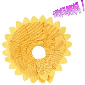 炩GUxXJ[ GJ zGUxXJ[ x^GUxXJ[ uAgGUxXJ[ y ی GUxXJ[Ђ܂ ی rߖh~ 