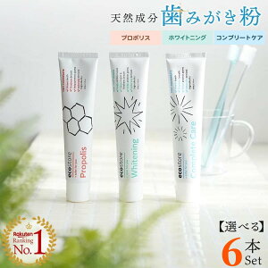yVX[p[SALE撅11l20%OFFN[|zz [ 6{Zbg ecostore GRXgA gD[Xy[Xg j[W[h̎RɗDVR̃GRȃgD[Xy[Xg 