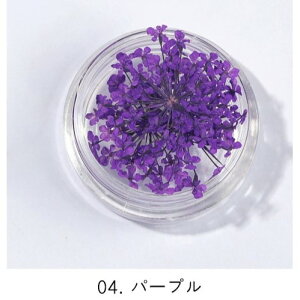 BoutiqueKorea KiraKira [XhCt[S7F   ԃlC hCt[ ԃlC ؍lC tlC t[lC oa