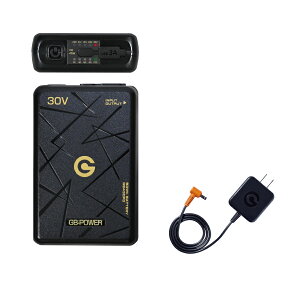 �y�X�[�p�[�Z�[�� �|�C���g10�{ �v�G���g���[�zGB430PD 30V �o�b�e���[ProMax