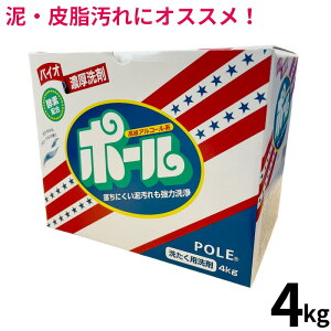 洗剤 ポール 送料無料の通販 価格比較 価格 Com