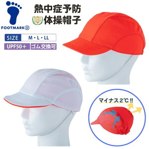 y|Cg10{IvGg[zy[zFOOTMARK tbg}[N S[vՔM̑Xq 101204 ԔXq wZ ̈