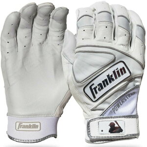 y労ӍՁzy[zFranklin tN obeBO O[u  p p[Xgbv N POWERSTRAP CHROME 싅pi 20491 20493 20494