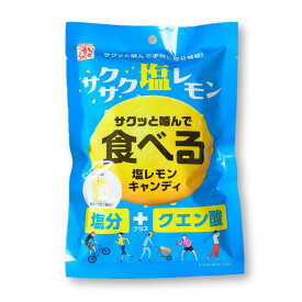 【ポイント5倍！※要エントリー】【即納 あす楽】食べる塩レモンキャンディ 80g 塩飴 クエン酸 飴 あめ 熱中症対策 クランチキャンディ スポーツ 工場 酸っぱい