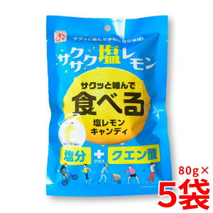 y[zHׂ鉖LfB 80g  NG_   MǑ΍ N`LfB X|[c H _ς