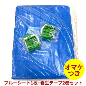 y|Cg5{IubNtCf[zy[zu[V[g1 {e[v2Zbg I}P 10m×10m #3000  u[ h hБ΍ 䕗 R | ^ AEghA