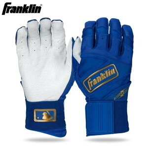 y|Cg10{IvGg[ X[p[Z[zy[zFranklin tN 20772 obeBOO[u p[Xgbv C×S[h 3TCYWJ 싅  ŌpO[u 