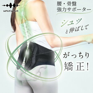 y|Cg10{IvGg[zy[zWAVEWAVE EF[uEF[u LUMBAR BELT WH49-02 ⏕xg Ճxg