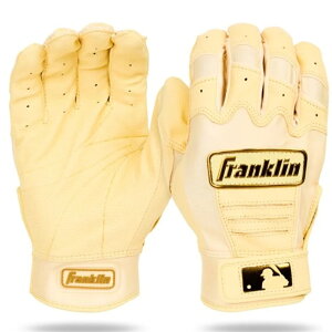 �y�|�C���g�ő�10�{�I�v�G���g���[�z���[ Franklin �t�����N���� �o�b�e�B���O�O���[�u ����p CFX PRO 20793 �o�b�e�B���O��� MLB �싅�p�i ��� ��l