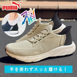 y[EI}PtzPUMA v[} Y Xb| C[YC \tgCh tbNX[X ALT Ch ܂ܗ EH[LO jOV[Y 311996 05