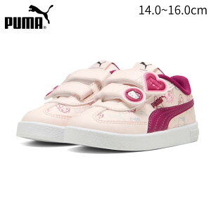 y[zPUMA v[} LbY WjA Xj[J[ C[YC n[LeB Ah tY Nu ERA V qǂC 14.0`16.0cm 403413
