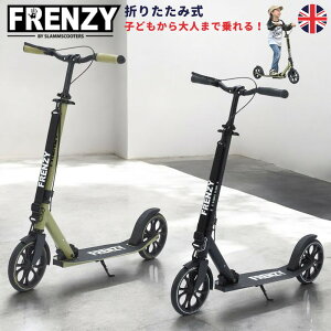 y労ӍՁzy[zFRENZY tW[ LbNXN[^[ LbN{[h nhu[Lt pL[Xgbvt {ʎdlf205mm Dual Brake FR205DB3 CMX  2FWJ 