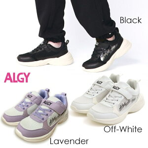 y|Cg10{IvGg[zy[zALGY AW[ K[Y I[xNXj[J[ A4GG043  LbYV[Y ̎q WjA 킢 C Xj[J[ ʊw ^