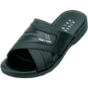 y|Cg10{IvGg[ X[p[Z[zA[mhp[}[ AP2055 amE^wbv ubN AP2055-009