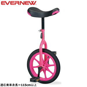 y|Cg5{IubNtCf[zEVERNEW Goj[ EKD136 ֎ m|pN 16 sN 120 y[J[iz