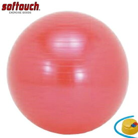 ソフタッチ SO-BAL55 エクササイズボール【カラーボックス】レッド