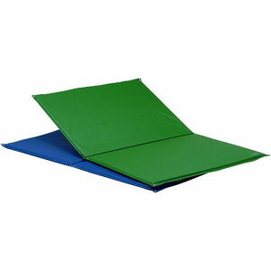 【ポイント10倍!要エントリー】TOEI LIGHT トーエイライト 受注生産品 T1219G 鉄棒用下敷マットST90 緑 ■個人宅への配送不可商品