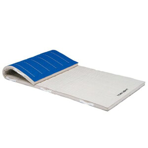 TOEI LIGHT g[GCCg 󒍐Yi T1289 RۃRrl[V}bg5cm 9z EmXbv lւ̔zsi