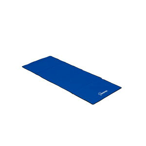 TOEI LIGHT トーエイライト H7153 エクササイズマットHG180 ■個人宅への配送不可商品