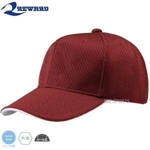 REWARD �����[�h CP-20 ���b�V���L���b�v �o�C�U�[���C�� 11 �G���W/01 cp20 11 �싅 �\�t�g�{�[��