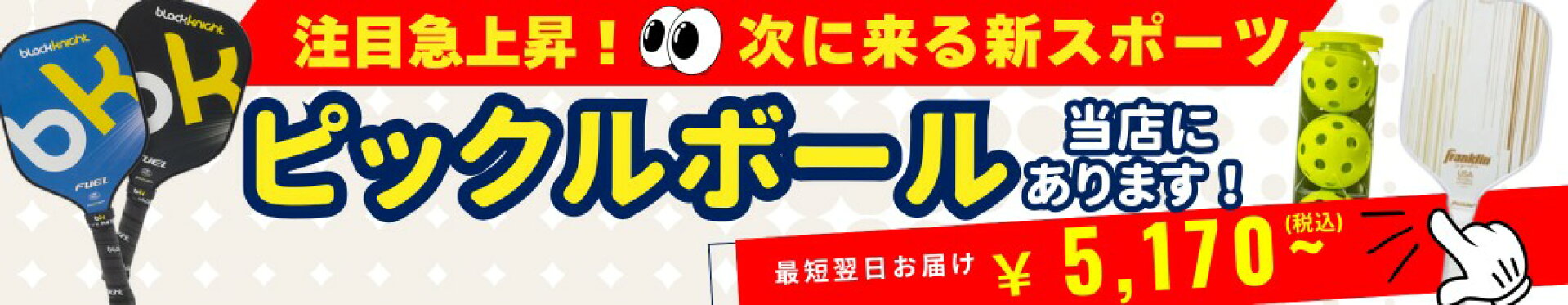 ピックルボール新スポーツバドミントンテニス