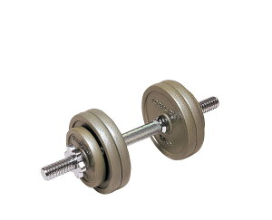 �y�X���S�iP3�{ 6/29���zTOEI LIGHT �g�[�G�C���C�g H9250 �_���x��15kg�Z�b�g �t�B�b�g�l�X�E�g���[�j���O