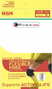 y|Cg10{IvGg[zDM 867 T|[^[ o[{[tLVupbhG 27 ubN